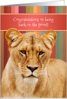 Lion Congratulations on your Divorce card