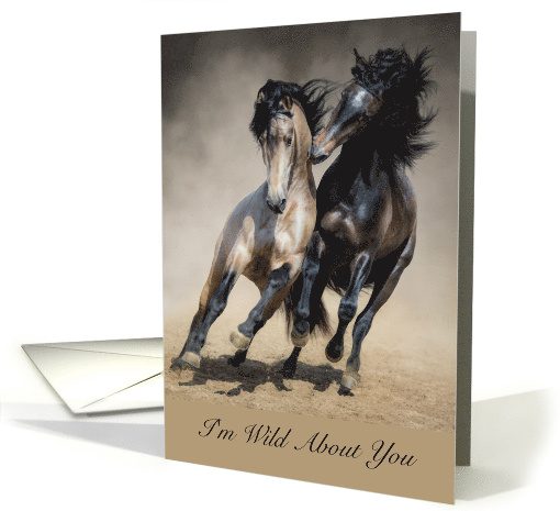 Wild About You Horse Theme Love Romance card (1601120)