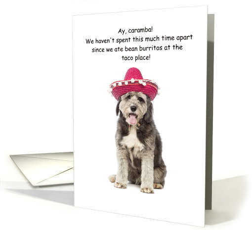 COVID Social Distancing Humor card (1606050)