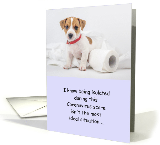 Isolated Puppy Toilet Paper Coronavirus Humor card (1606064)