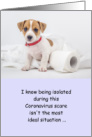 Isolated Puppy Toilet Paper Coronavirus Humor card