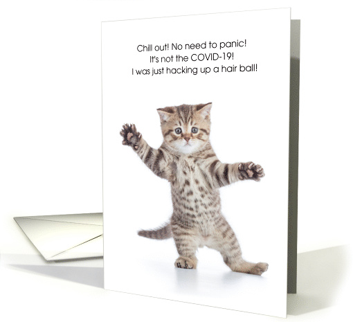 Hair Ball Kitten COVID-19 Humor card (1607824)