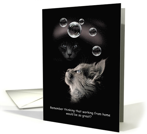 Cats Bubbles COVID-19 Work From Home Humor Encouragement card