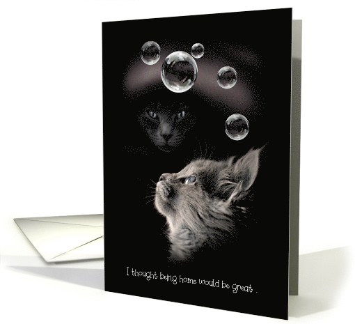 Cats Bubbles COVID-19 Humor Thinking of you. card (1608366)