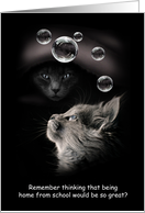 Cats Bubbles Homeschool COVID-19 Humor card