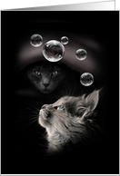 Cats with Floating Bubbles Blank Note card