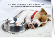 Puppy Dog COVID-19 Social Distancing Humor card