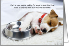 Puppy Dog COVID-19 Social Distancing Humor card