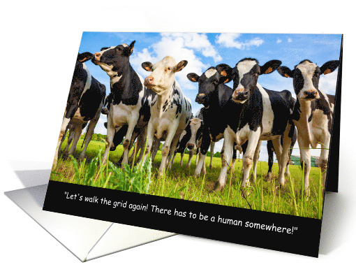 Search and Rescue Team Cows COVID-19 Humor card (1609146)