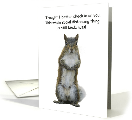 Squirrel Social Distancing Humor COVID-19 card (1611216)