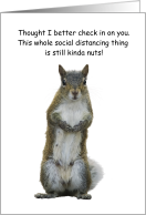 Squirrel Social...
