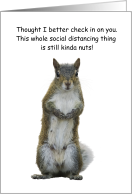 Squirrel Social Distancing Humor COVID-19 card