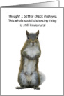 Squirrel Social Distancing Humor COVID-19 card