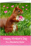 Custom Front Sister Squirrel Theme COVID-19 Mothers Day card