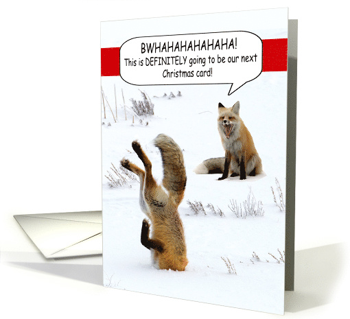 Wildlife Fox Animals Merry Christmas Humor card (1613440)
