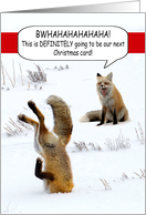 Wildlife Fox Animals Merry Christmas Humor card