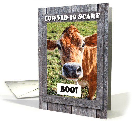 Cow Posing as COWVID 19 Scare COVID 19 Humor card (1618360)