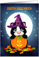Kitty Cat and Jack O Lantern Happy Halloween card