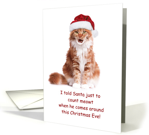 Cat in Santa Hat COVID-19 Social Distance Humor Christmas card