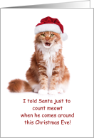 Cat in Santa Hat COVID-19 Social Distance Humor Christmas card