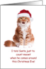 Cat in Santa Hat COVID-19 Social Distance Humor Christmas card