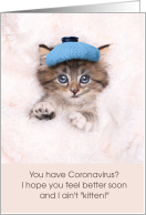 Kitten Coronavirus...