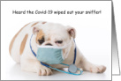 Dog Humor Covid-19 Get Well Soon card