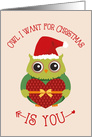 Christmas Romantic Greetings with Sweet Owl in Santa Hat card