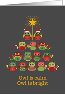 Christmas Owl is...