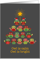 Christmas Owl is Calm in Cute Owl Illustrations Greeting card
