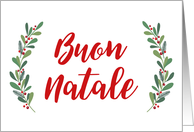 Italian Christmas Greeting with Holly Laurels and Calligraphy card