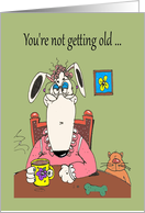 Birthday Dog You’ve been old Cartoon card