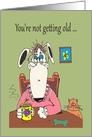 Birthday Dog You’ve been old Cartoon card