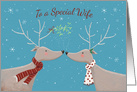 Special Wife Christmas Reindeers Mistletoe card