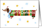 Christmas Jumper Dachshund Dog card