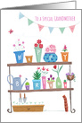 Grandmother Happy Birthday Flower Plant Pots card