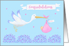 Baby Girl Congratulations Stork card