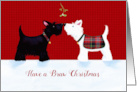 Braw Christmas Scottish Dogs in Tartan card