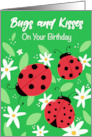 Birthday Bugs and Kisses Ladybug Hugs card