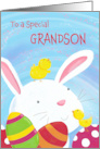Grandson Happy Easter Bunny with Chicks and Eggs card