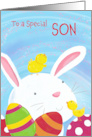 Son Happy Easter Bunny with Chicks and Eggs card