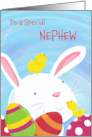 Nephew Happy Easter Bunny with Chicks and Eggs card