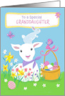 Granddaughter Easter Spring Lamb and Bunny card