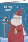 Irish Christmas Santa Claus Winter Bird Table card