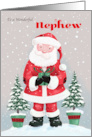 Nephew Santa Claus with Gift and Trees card