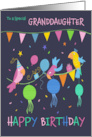 Granddaughter Birthday Party Parrots card