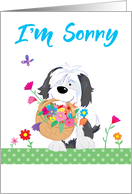 I’m Sorry Cute Dog with Flowers card