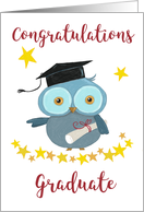 Congratulations Graduate Owl card