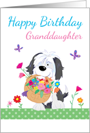 Happy Birthday Granddaughter Cute Dog Flowers card