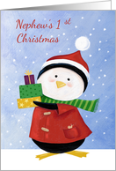 Nephew’s 1st Christmas Penguin with parcels card